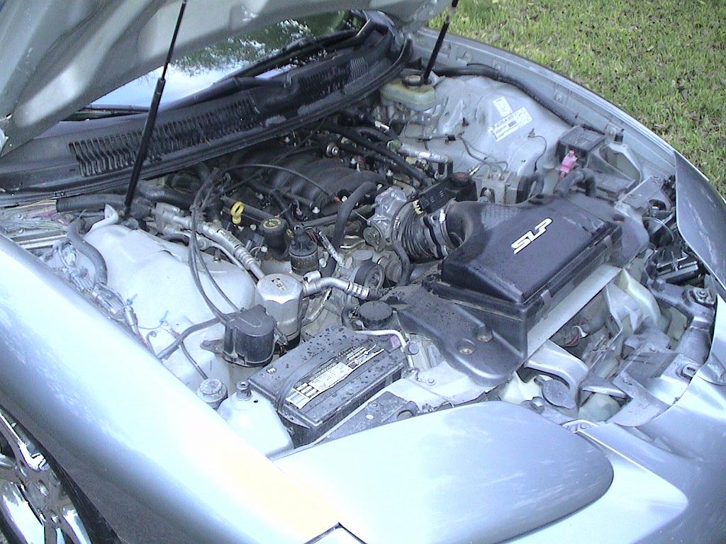 DSC07630.JPG