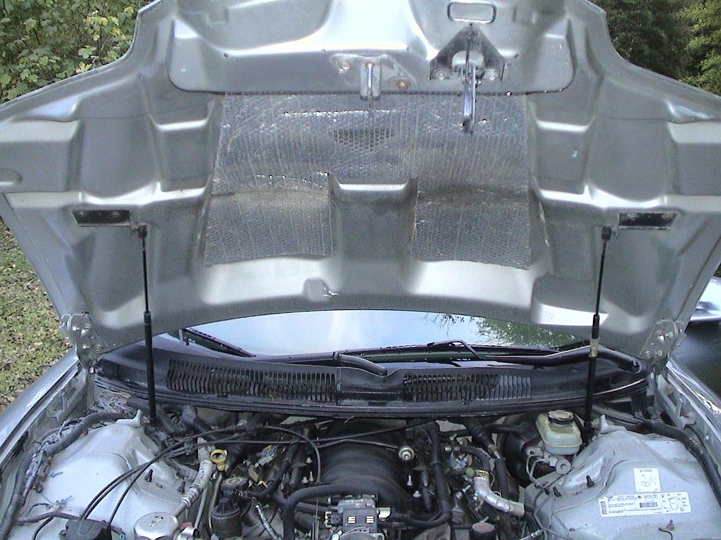 DSC07633.JPG