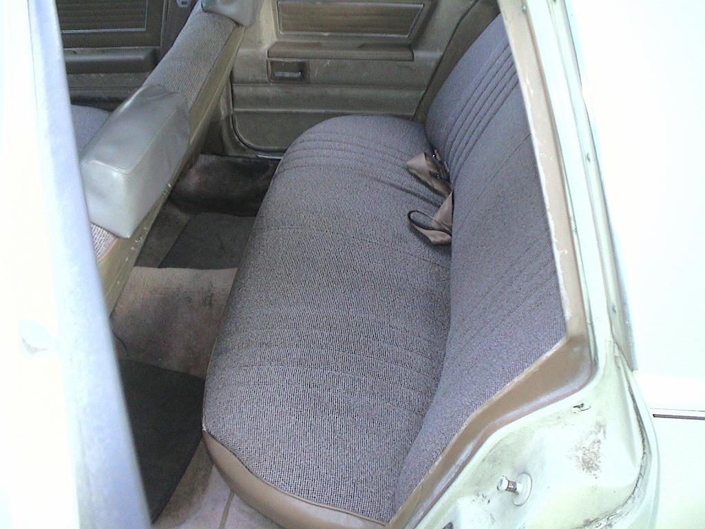 DSC07495.JPG